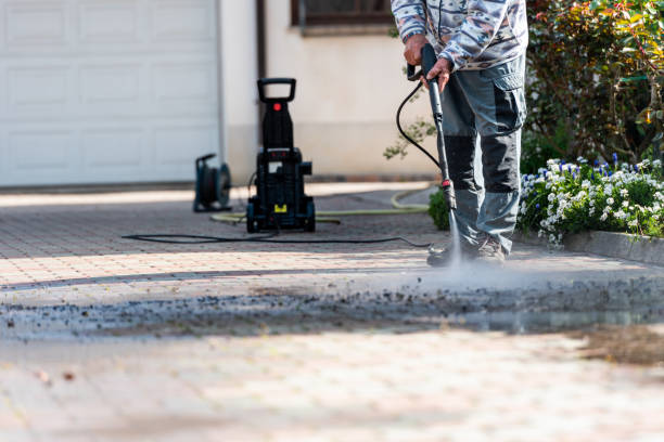 Best Exterior Home Cleaning  in Waimalu, HI